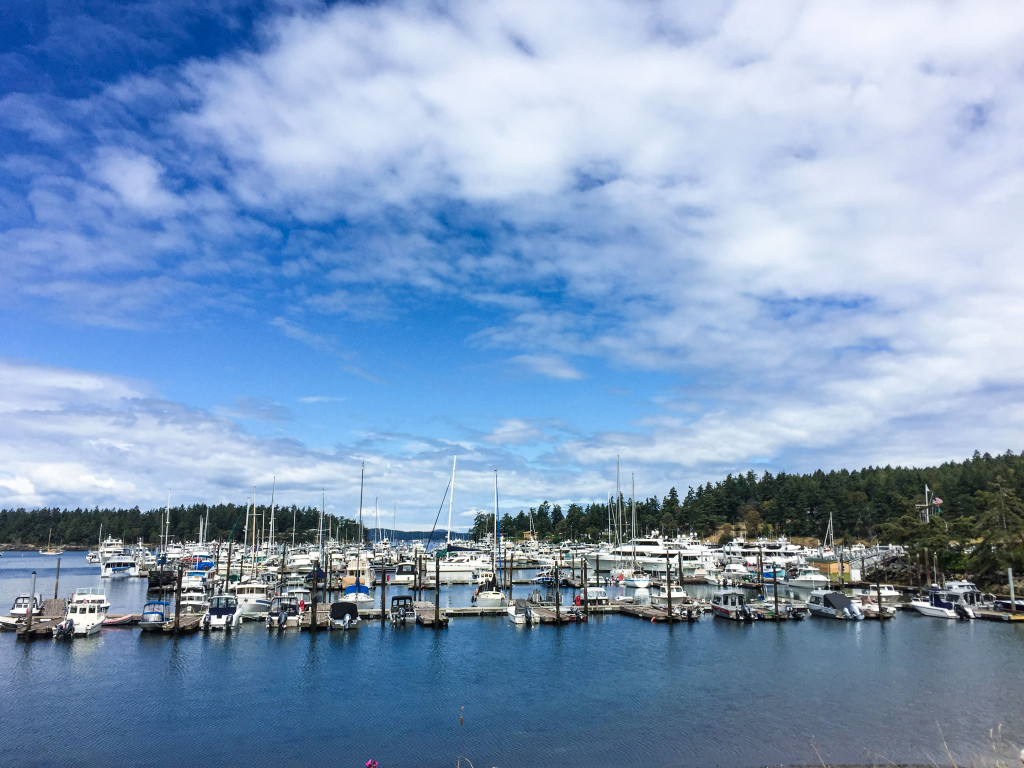 Roche-Harbor,Washington